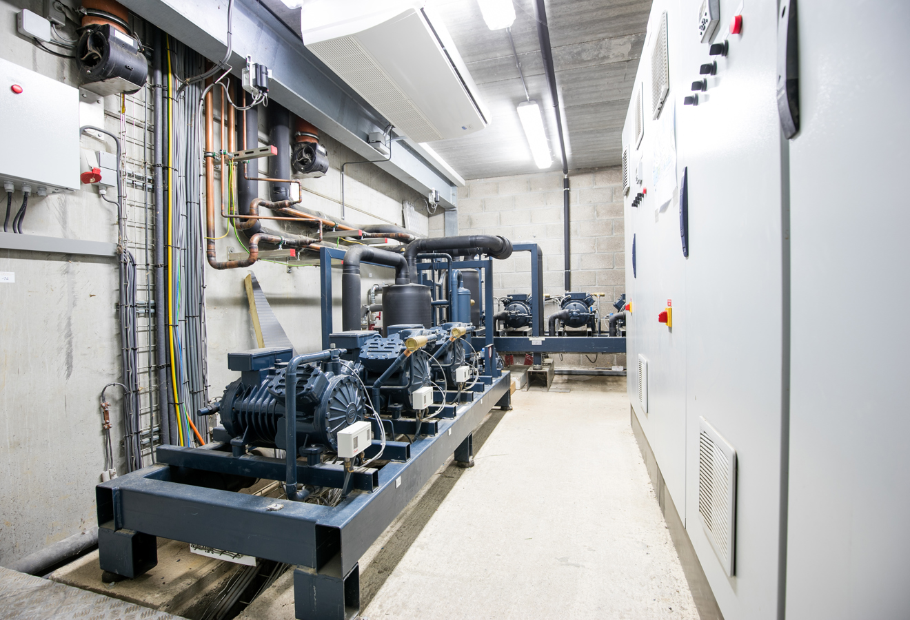 Industriekälteanlage mit Kompressoren und Kältemaschinen in einem Technikraum.